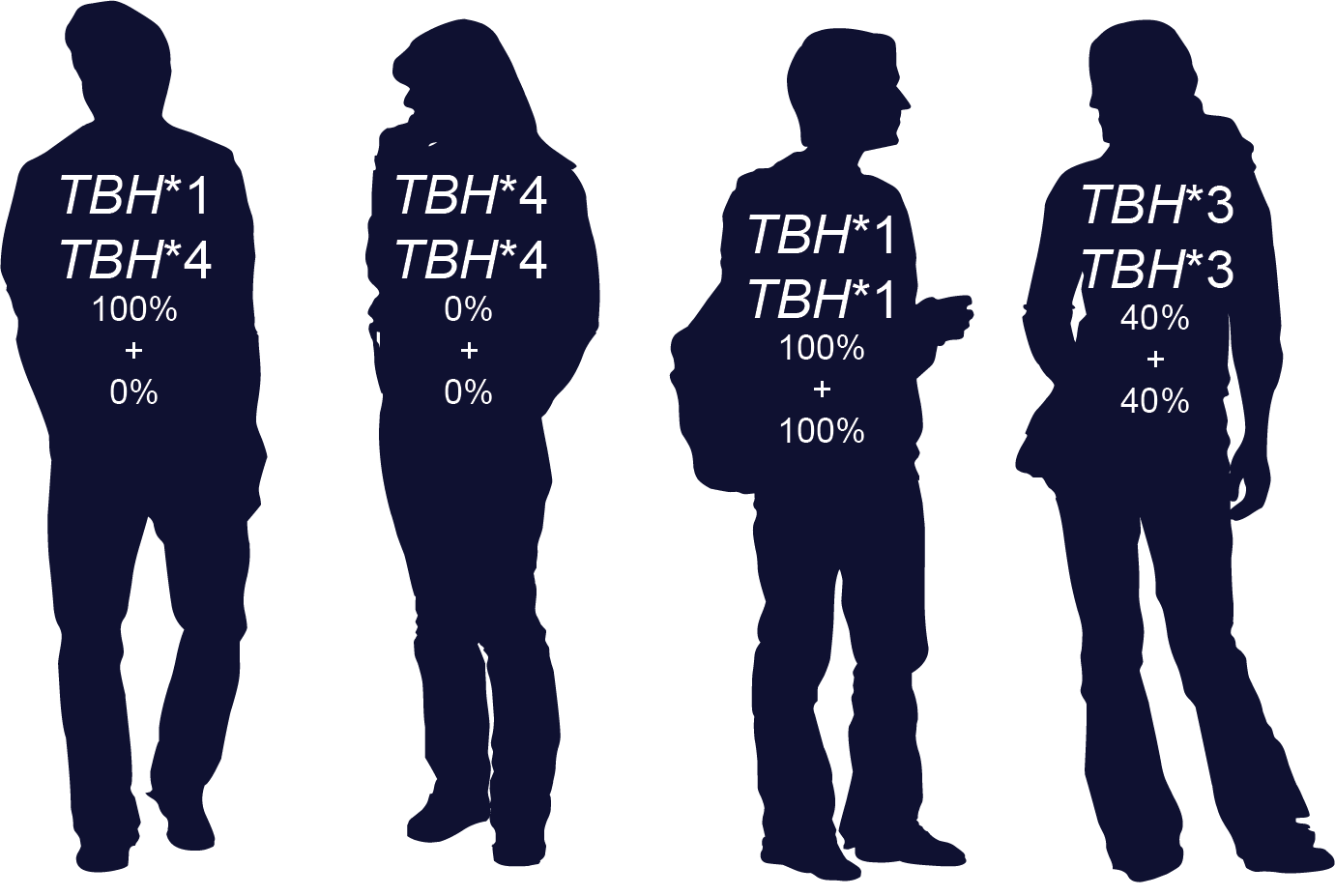Distribution of the four TBH alleles in the population