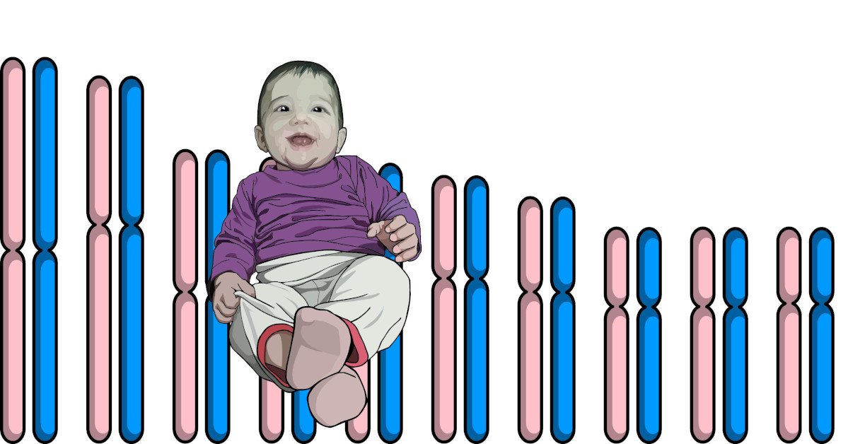 Gene and allele: how to tell the difference