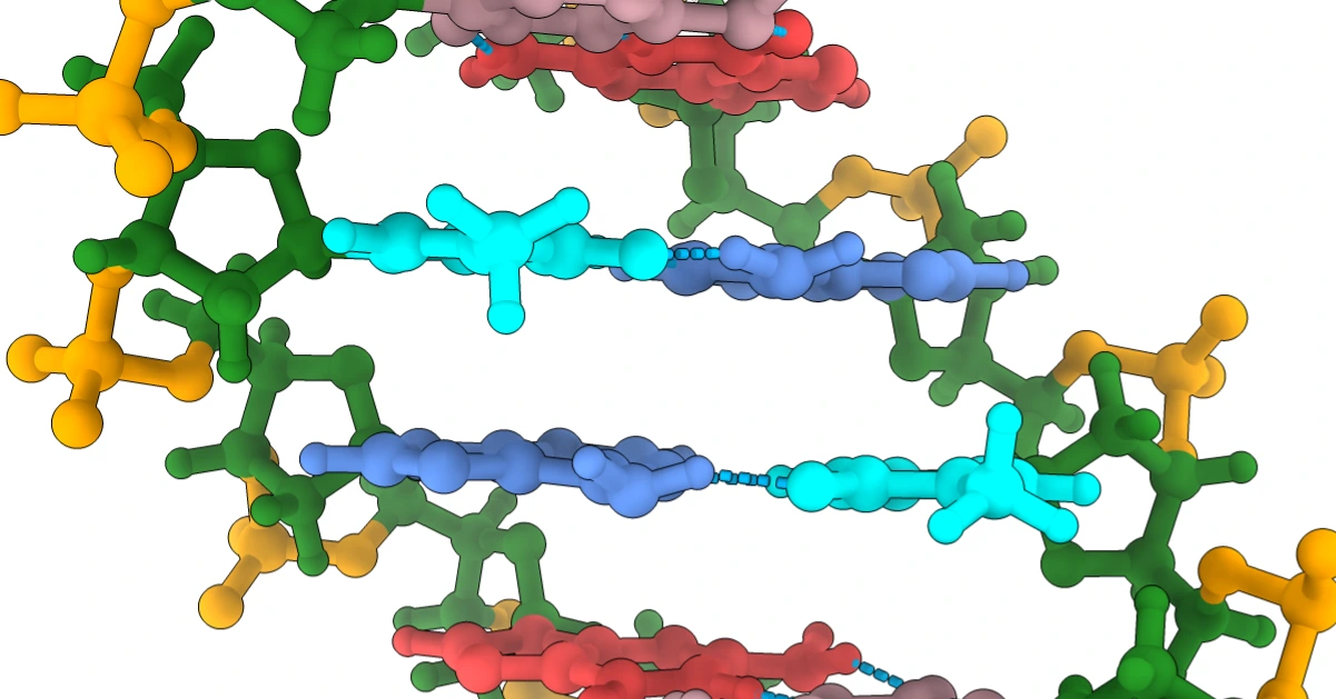 DNA structure explained visually: nucleotides and the double helix