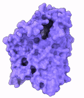 Human GLUT1 glucose transporter protein