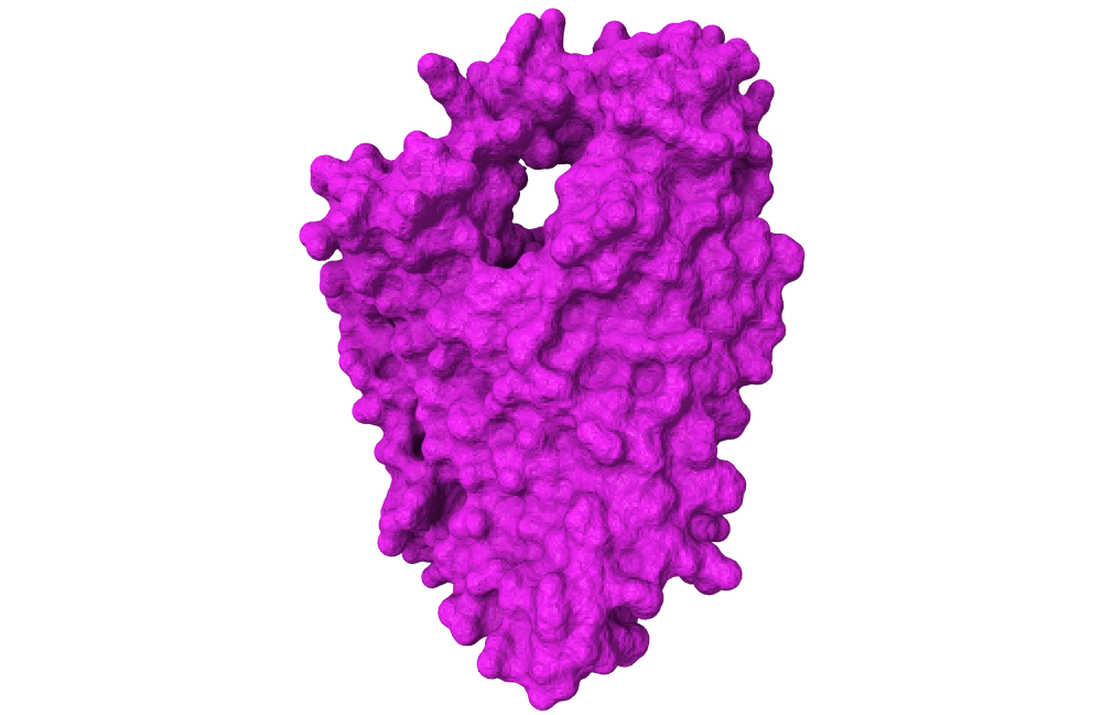 Proteína transportadora de glucosa GLUT1 humana