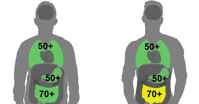 Haplossuficiency and haploinsufficiency
